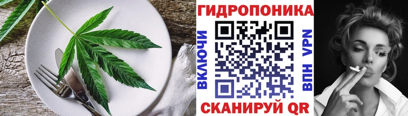 Canna-Cookies конопля Дагестанские Огни