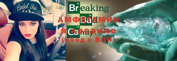 индика Богородицк