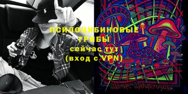 индика Богородицк