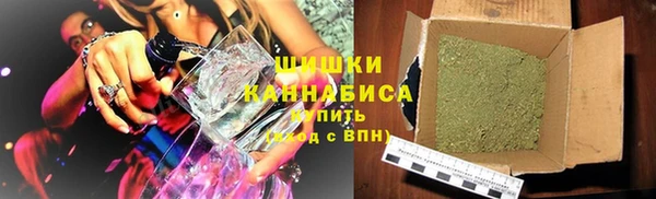 прущие крисы Бородино
