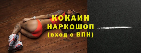 прущие крисы Бородино