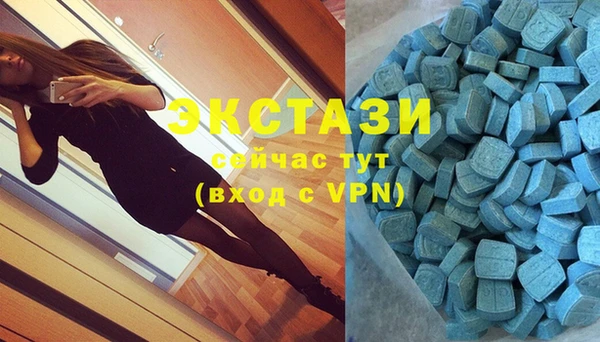 индика Богородицк