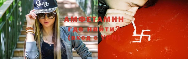 индика Богородицк