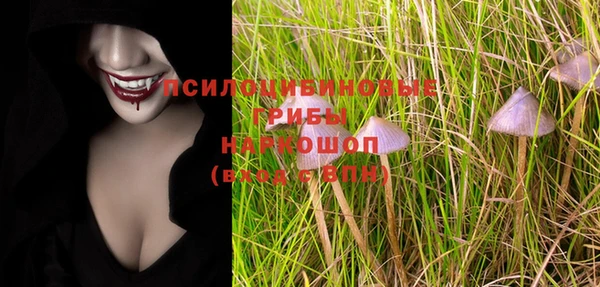 ГАЛЛЮЦИНОГЕННЫЕ ГРИБЫ Богданович
