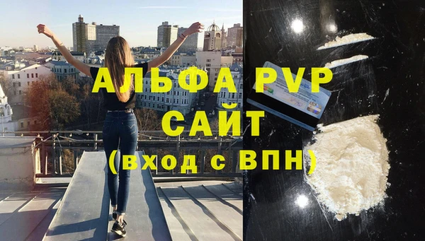 ГАЛЛЮЦИНОГЕННЫЕ ГРИБЫ Богданович