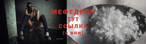 индика Богородицк