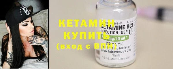 индика Богородицк