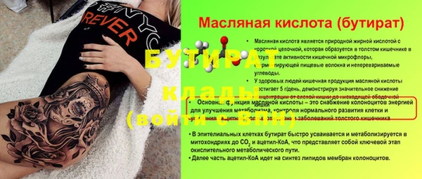 индика Богородицк