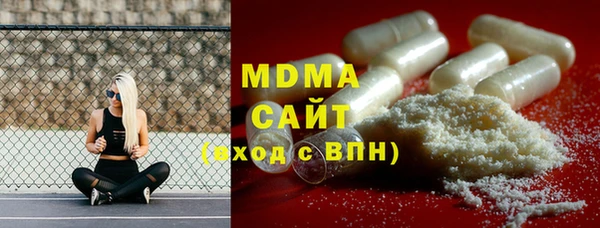 индика Богородицк