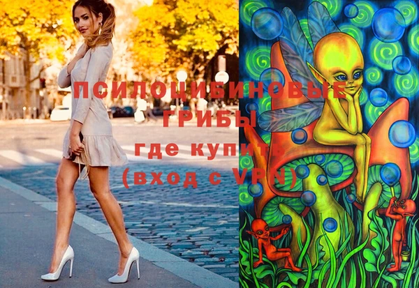 твердый Балахна