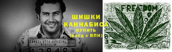 индика Богородицк