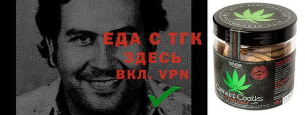 индика Богородицк