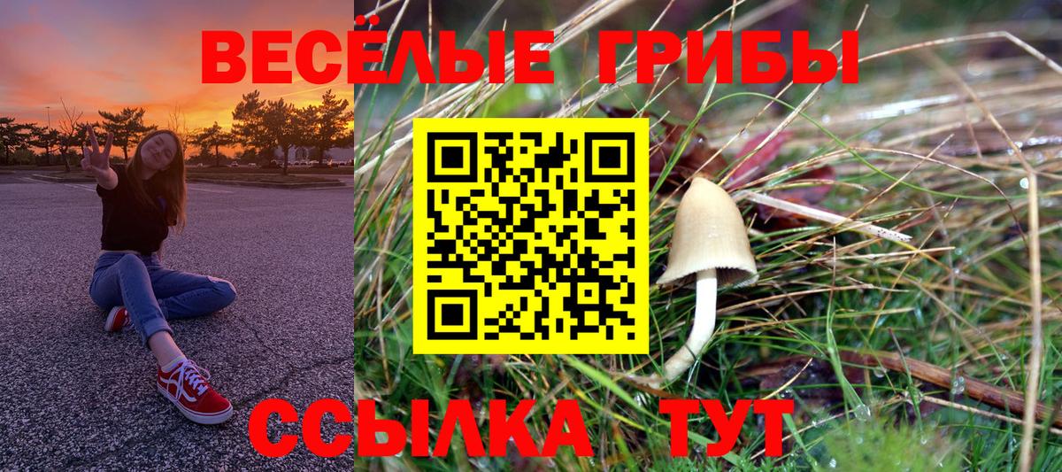 Галлюциногенные грибы Cubensis  Вход с VPN  Дагестанские Огни  Галлюциногенные грибы Magic Shrooms 